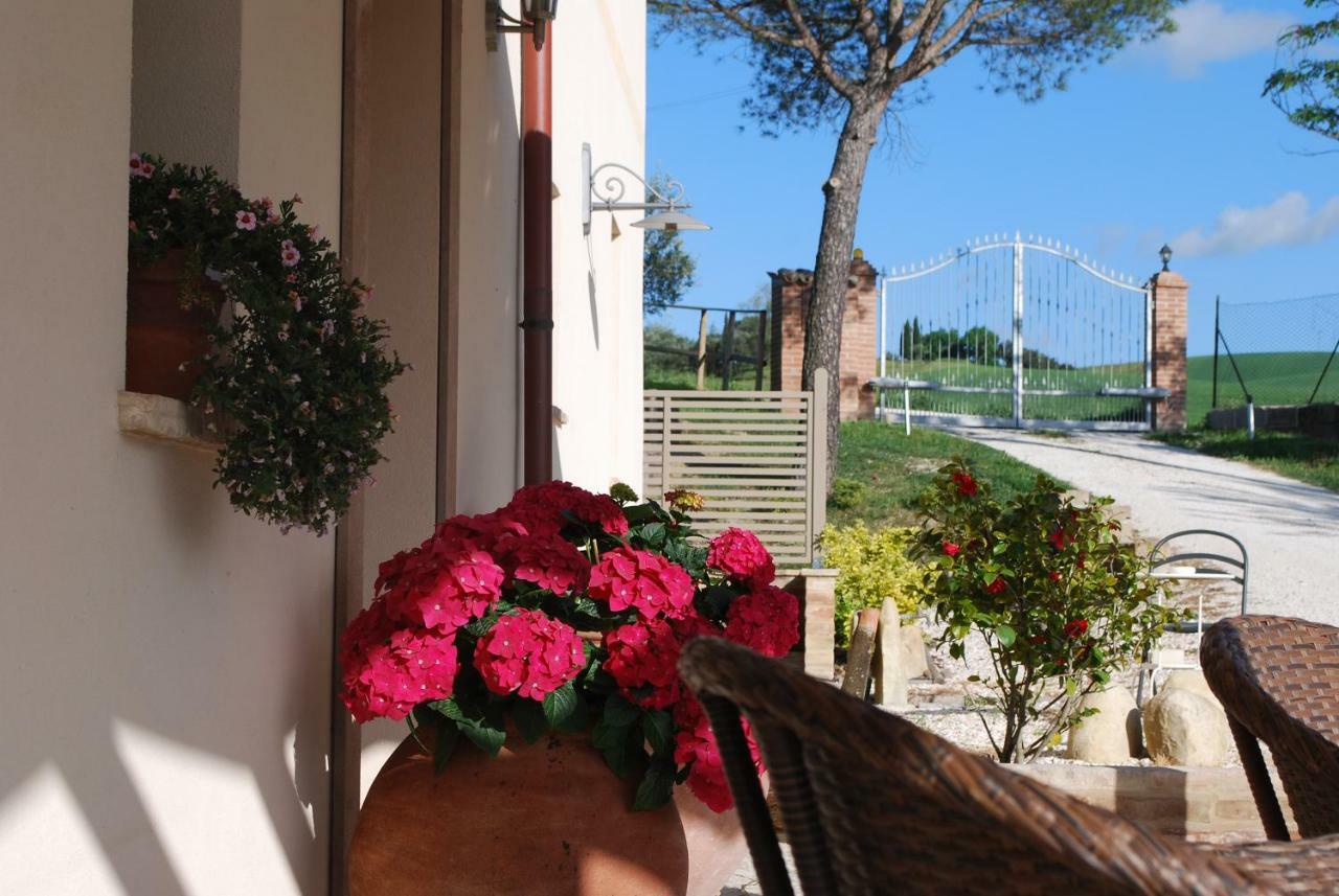 Le Maracla Country House Jesi Kültér fotó
